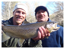 Blowing Rock Fly Fishing Guide - Carl Freeman